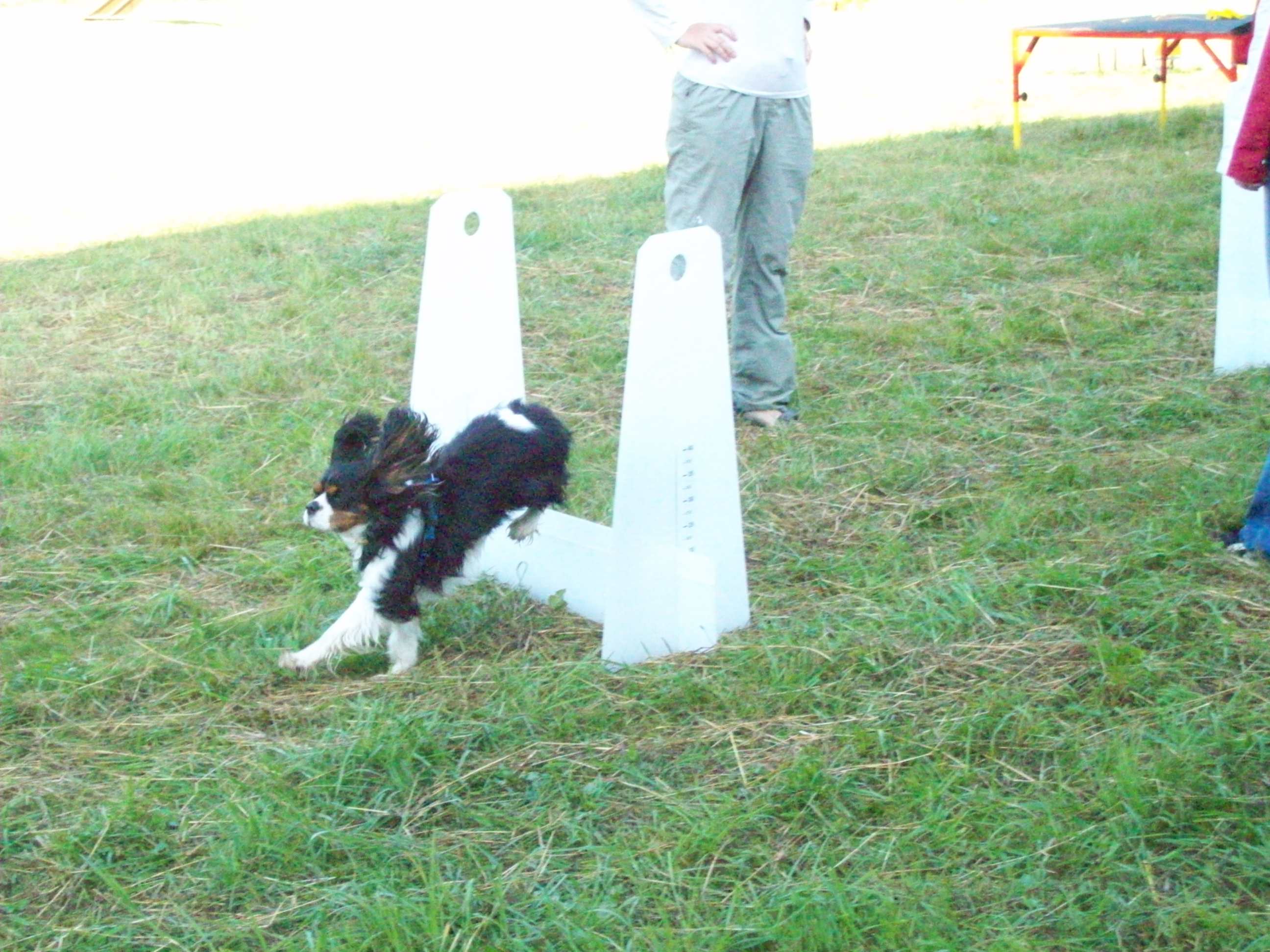 LVT Svojanov 2008 314.jpg