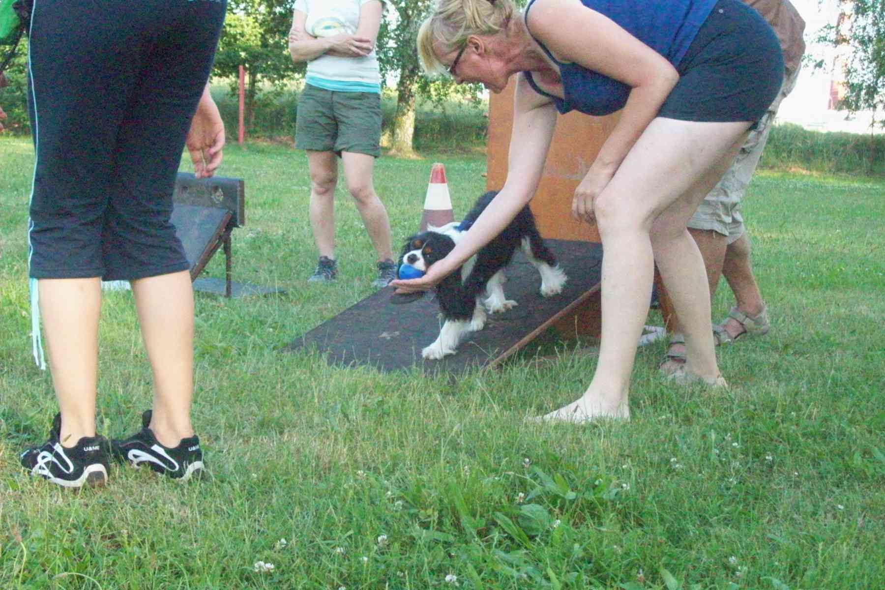 23.6. flyball 008.jpg